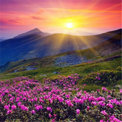 SAFARIS - Frozen (Extended Mix)